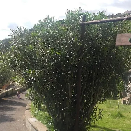 Pensjonat Il Casolare Del Vignolo