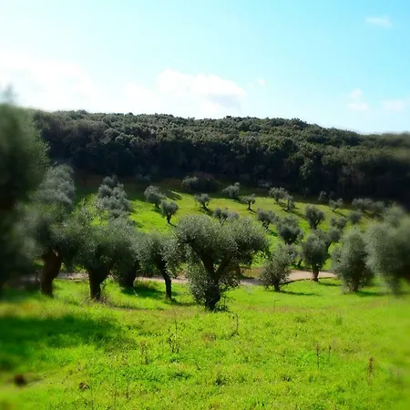 Pensjonat Il Casolare Del Vignolo Capalbio