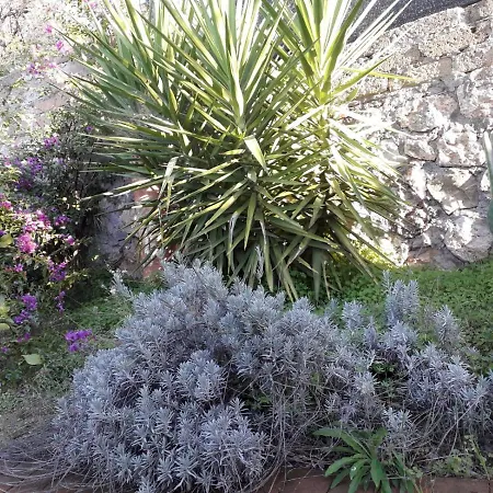 Il Casolare Del Vignolo