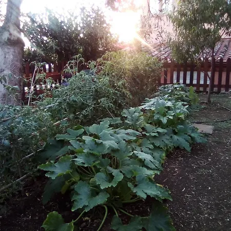 Il Casolare Del Vignolo
