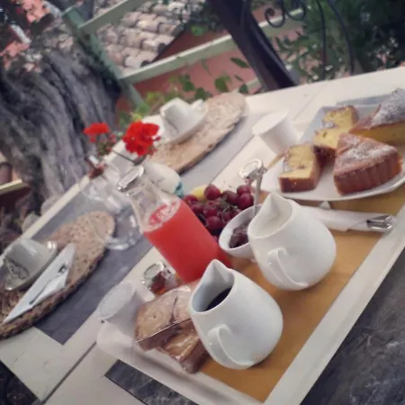 Il Casolare Del Vignolo Guest house
