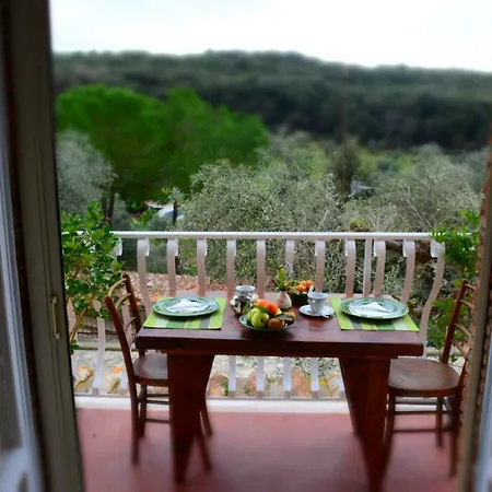 Il Casolare Del Vignolo Guest house