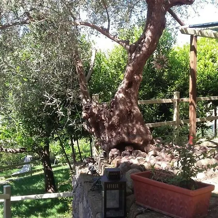 Il Casolare Del Vignolo *